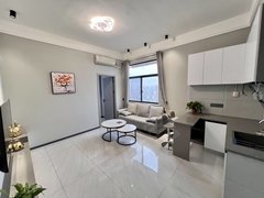 九江开发区招商花园城柴桑春天十组团现代爱马仕灰一室一厅 顶流风格全新精装拎包入住出租房源真实图片