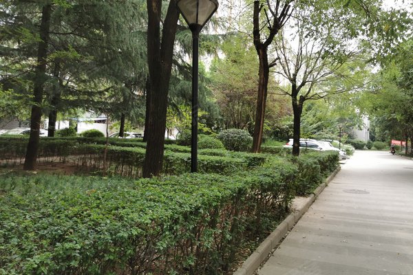 挚信樱花园,文苑北路33号-西安挚信樱花园二手房,租房-西安安居客