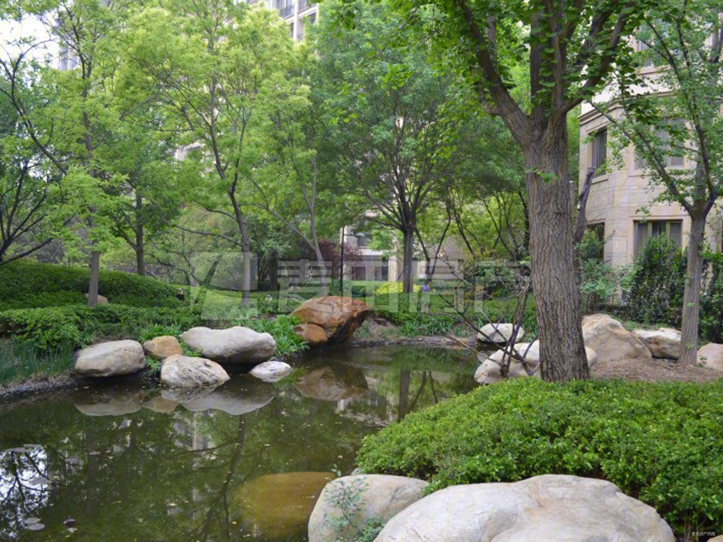 优选星河湾三期有钥匙地暖房总价低南北通透