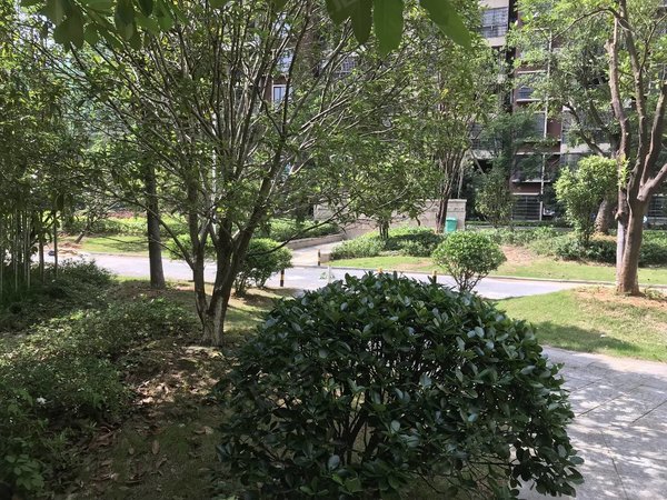 鹰潭贵溪贵溪城区金邸华府金邸华府中装二房,房子干净清爽,适合陪读的