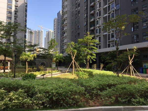 【多图】崇文花园,大学城租房,崇文花园电梯房 精一房一厅直租 学校旁