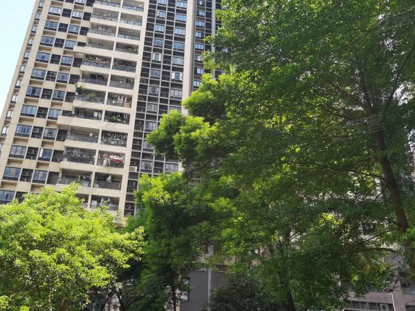 广州天河珠江新城中冼村回迁房珠江新城 冼村小区 电梯三房 近地铁