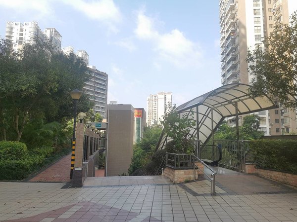 梧州长洲市政府山海观电梯高层,寻求爱干净的租客,不养宠物,准时交租