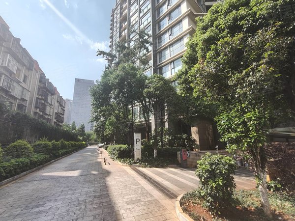 【多图】锦泰花园,新迎片区租房,清爽装修 标准一室一厅 带家具家电