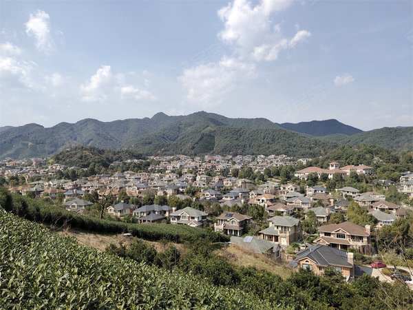 杭州富阳银湖九龙山庄(别墅)九龙山庄4室2厅3卫排屋出租 装修轻装