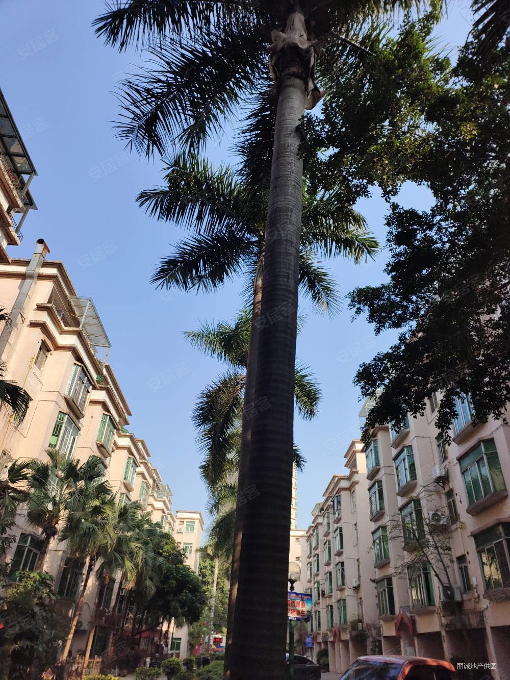 丽城花园(常平)二手房,125万,3室2厅,2卫,95平米-东莞安居客