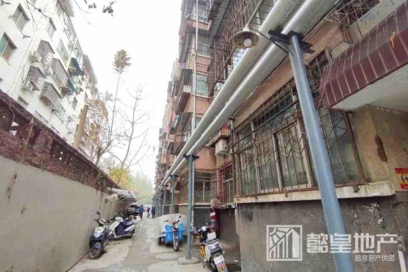 南昌路 非顶楼 三室 精装修 南北通透 兴隆花园 滨河新村