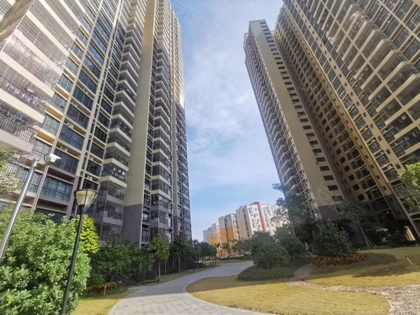 湛江廉江廉江城区鼎盛花园南向,业主自住,押一付一出租房源真实图片