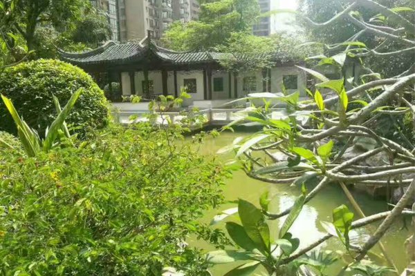 桂丹颐景园(丹灶)