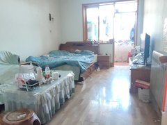 东莞路近清江路地铁 套二 南北 精装 家具家电齐全 拎包入住