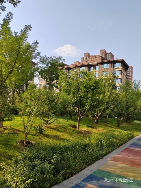 k2 玉兰湾 小高层 全明四居 低楼层 毛坯房