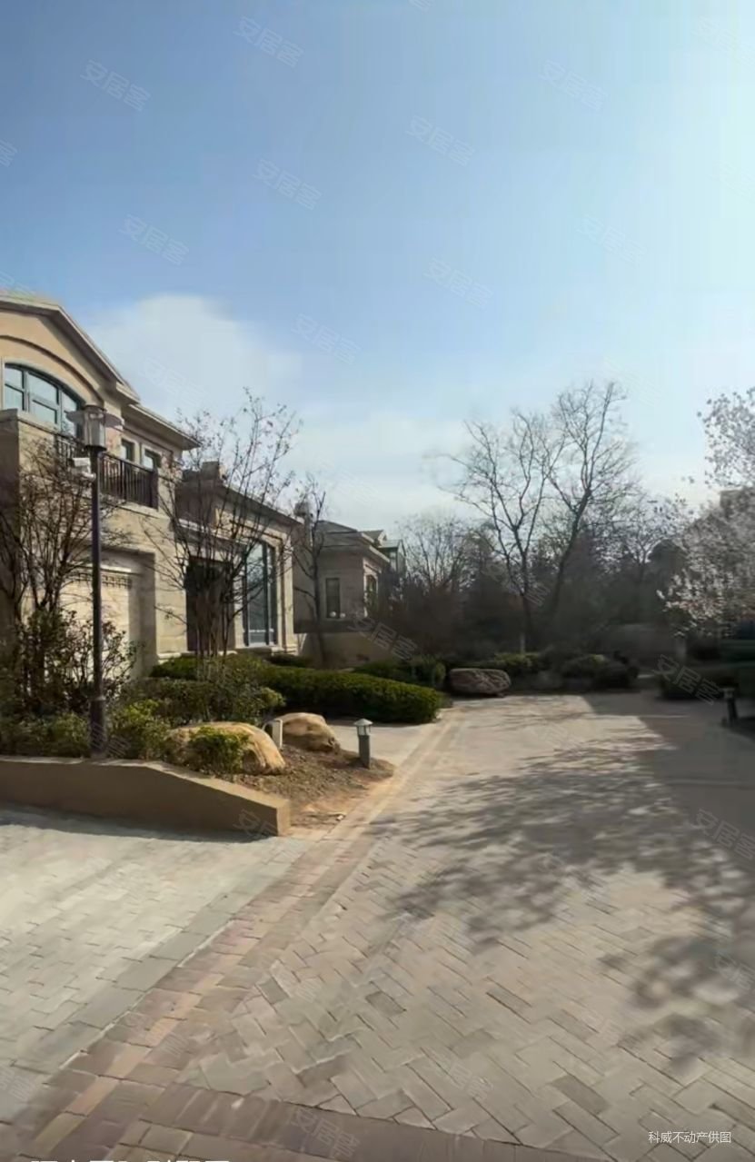 600多平独栋别墅大院位置很好丽山国际