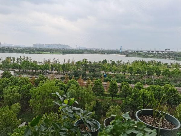 绍兴越城城东龙骧园龙骧园 2室1厅1卫 90平 配套齐全 南北通透出租