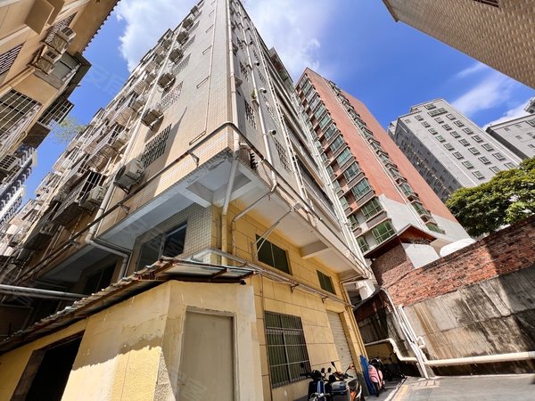 深圳龙华大浪上岭排新村上岭排新村 阳台 大单房出租房源真实图片