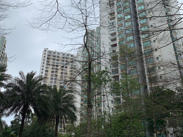 【多图】德瑞花园,东盟商务租房,万象城东盟商务区幸福里地铁口航洋