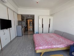 南昌红谷滩丰和北大道绿地外滩公馆(商住楼) 1室1厅1卫出租房源真实图片