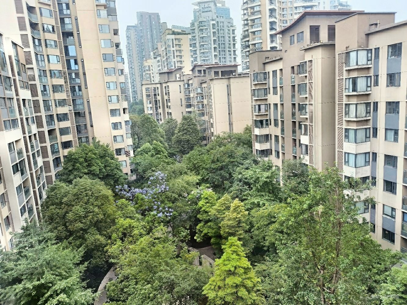 麓山国际茵特拉肯