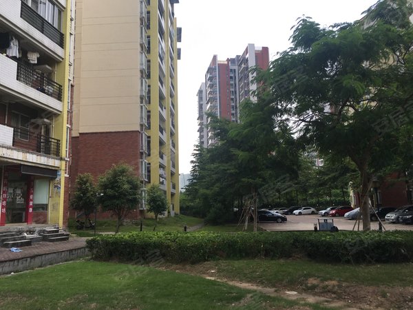 【多图】丰庭花园,金洲租房,金洲地铁站旁 丰庭花园 房东好说话 随时