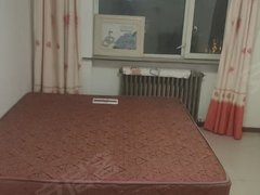 七台河茄子河茄子河区医院惠民，4楼，拎包入住，7000双包出租房源真实图片