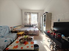 嘉峪关新华东方百盛雍和小区 1室1厅1卫 1层精装 新窗暖和 不能洗澡出租房源真实图片