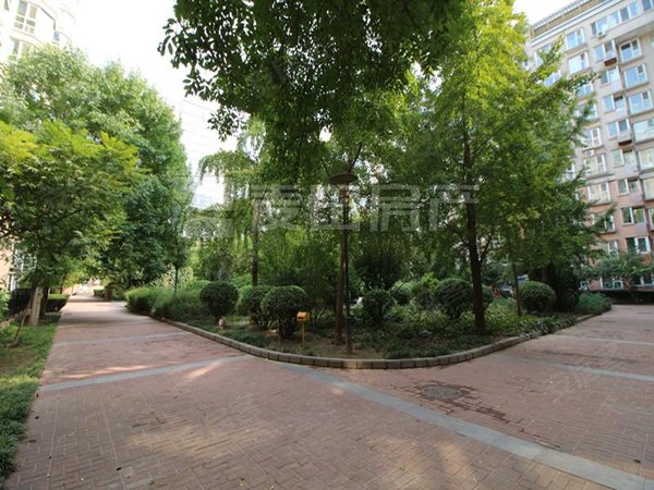 【多图】枫桦豪景,陶然亭租房,南北通透 3室2厅 枫桦豪景,西城租房