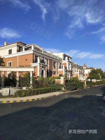 中海国际社区观邸别墅 豪华装修 高品质