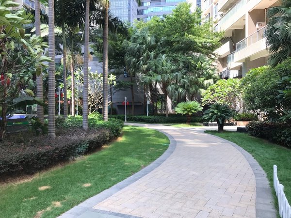 深圳南山南头田厦翡翠明珠花园(商住楼)翡翠明珠花园,一房,全齐出租