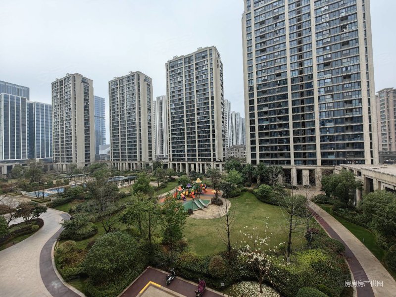 带车位临安滨湖新城c位绿城玉兰花园户型超大赠宋