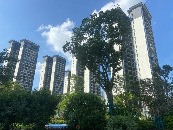 南宁兴宁三塘南宁碧桂园时代城南宁碧桂园时代城 3室2厅2卫出租房源