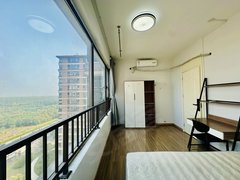 合肥蜀山长江西路一派邻里 短租 可月付 悠然居 西宸原著 中海世家 顺丰速运出租房源真实图片