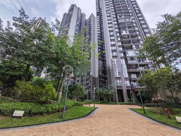南宁邕宁邕宁周边合景天峻广场合景天峻广场,精装4室,看房方便出租