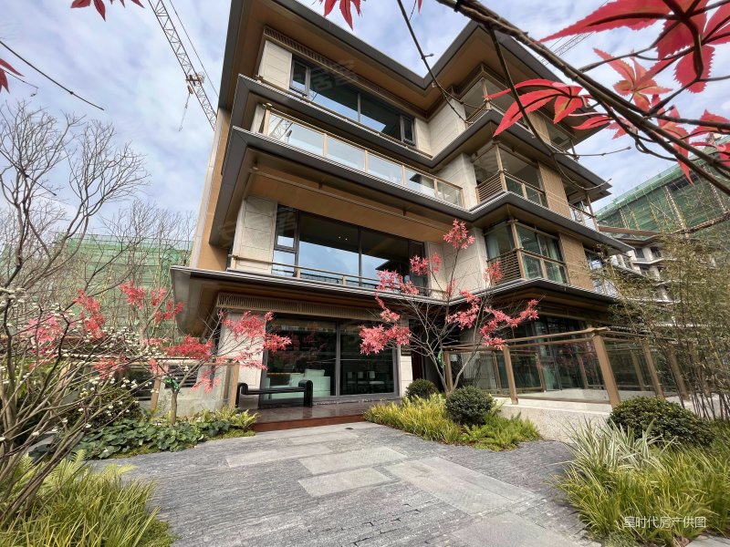 龙湖梵城5室3厅3卫206㎡南北595万