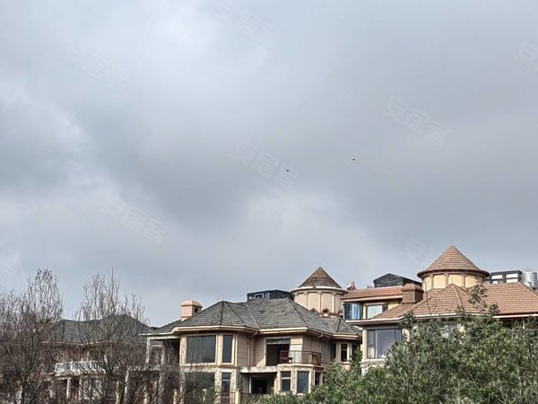 昆明呈贡建工新城世林国际别墅经开区林溪路独栋别墅出租出租房源真实
