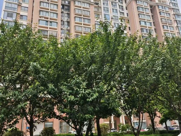 北村租房,北村新苑 2室2厅1卫 电梯房 精装修82平米,崂山租房-青岛58