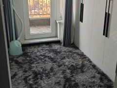 抚顺李石开发区顺安路德商国际花园 3室1厅1卫出租房源真实图片