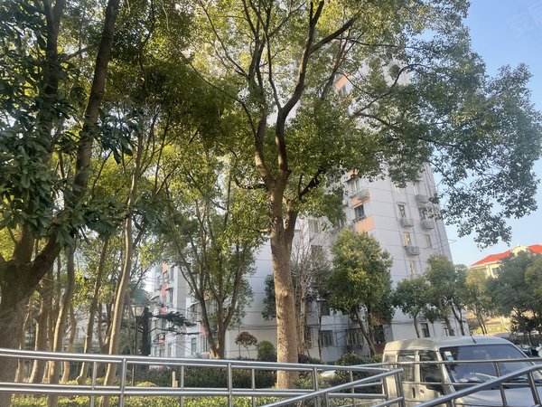 出门世纪大道2469 可停车近世纪汇八佰伴广场出租房源真实图片