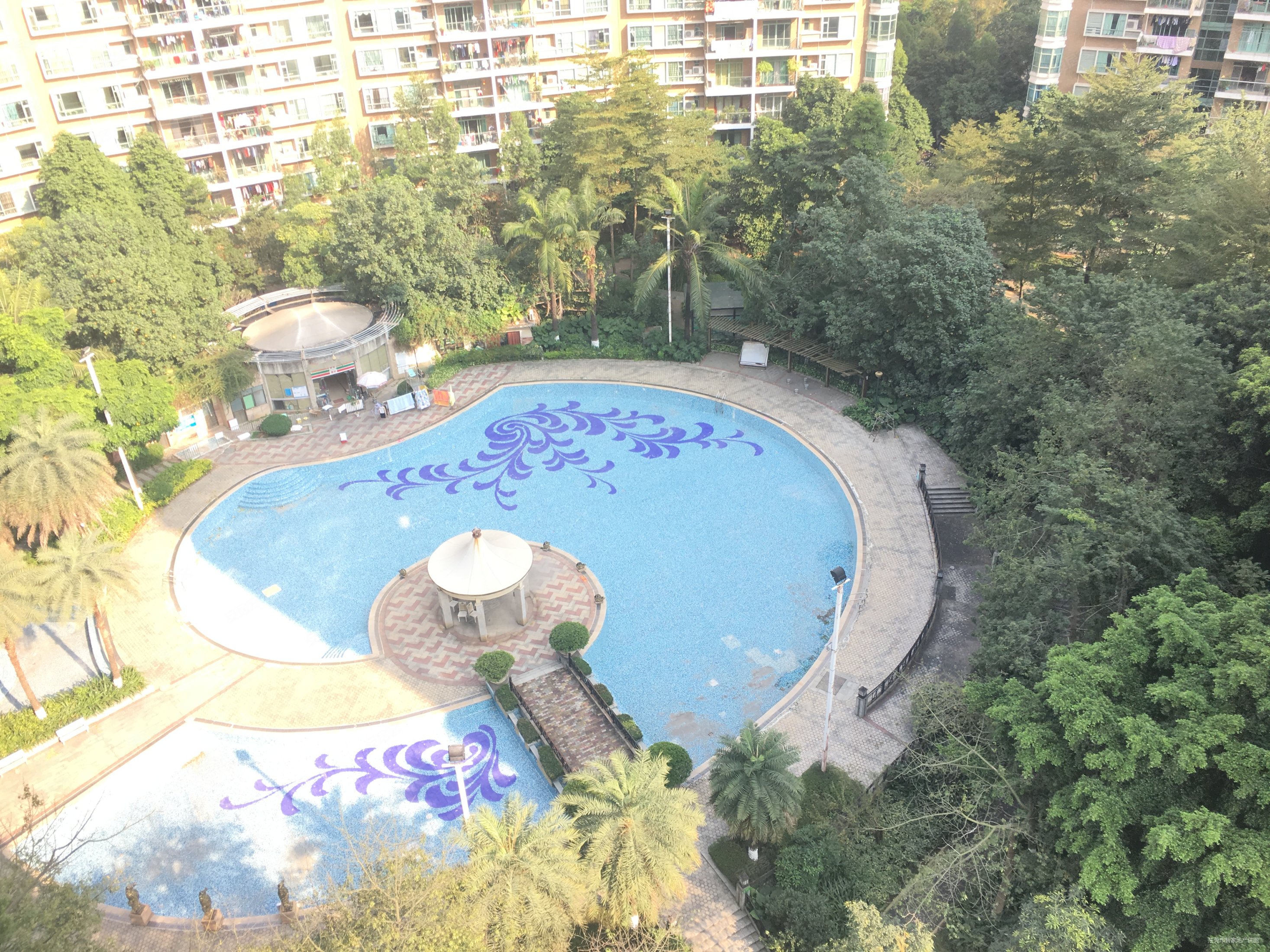 常平高品质小区世纪康城中高层三房户型方正采光十足免个税