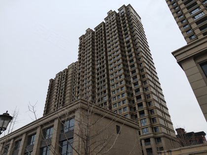 龙庭国际优点,不足,龙庭国际怎么样,龙庭国际周边房产中介经纪人评价