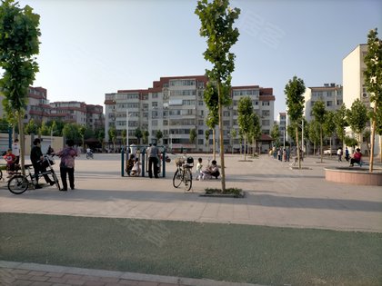 德州小学排名_德州一村小学(3)