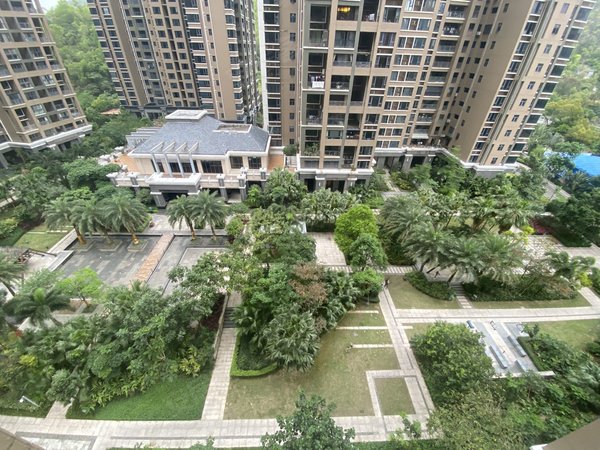 珠海香洲吉大锦园房源采光好,南北通透,业主诚意出出租房源真实图片