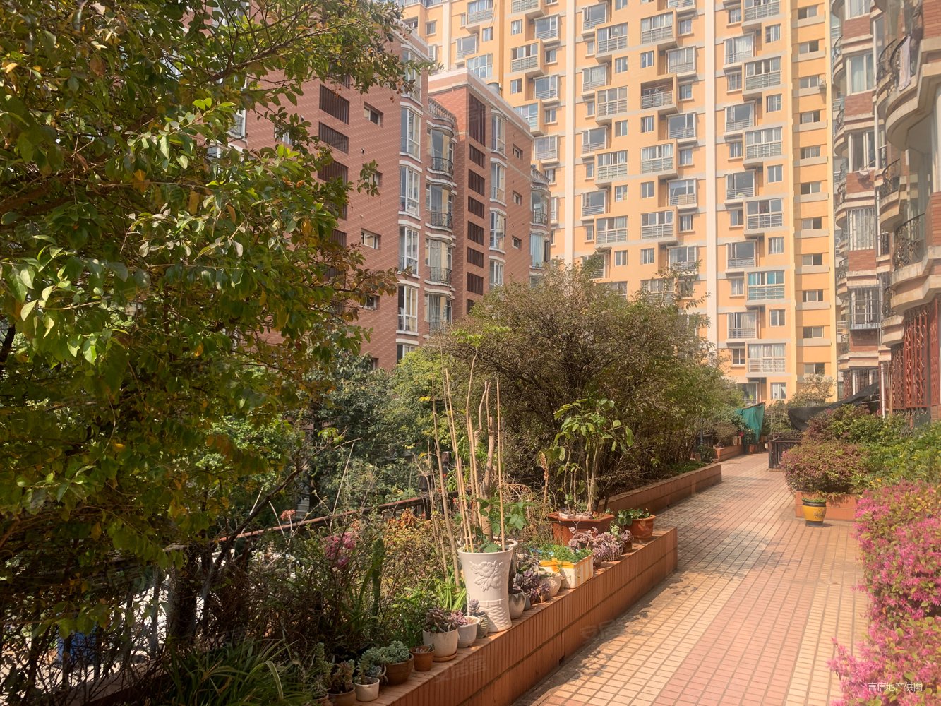 华夏园中间楼层南向房采光充足近地铁近医院