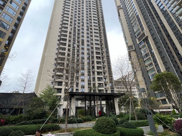 深圳龙华大浪谭罗新一村中央峰景 2室1厅1卫 南北通透 豪华装修 电梯