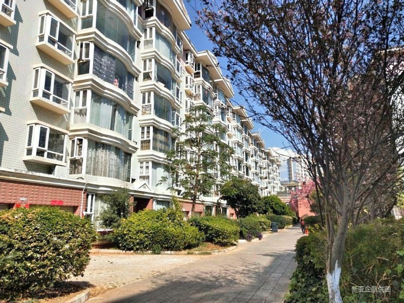 一梯两户纯板房 !金泉小区 面朝小区主景观