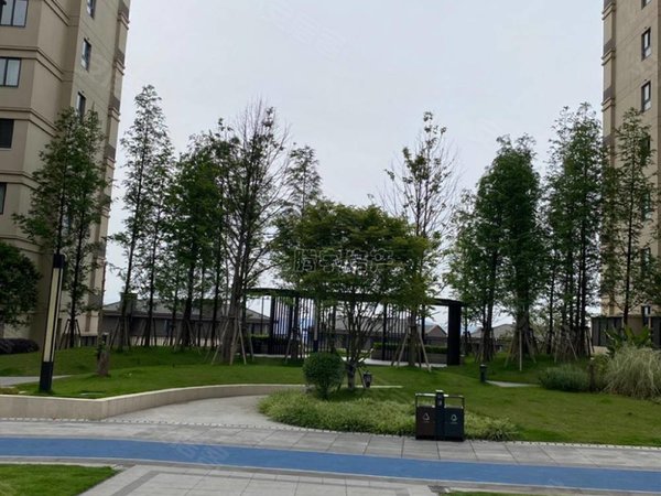 重庆涪陵涪陵高笋塘金科博翠府(涪陵)博翠府精装两室出租,家电齐全.