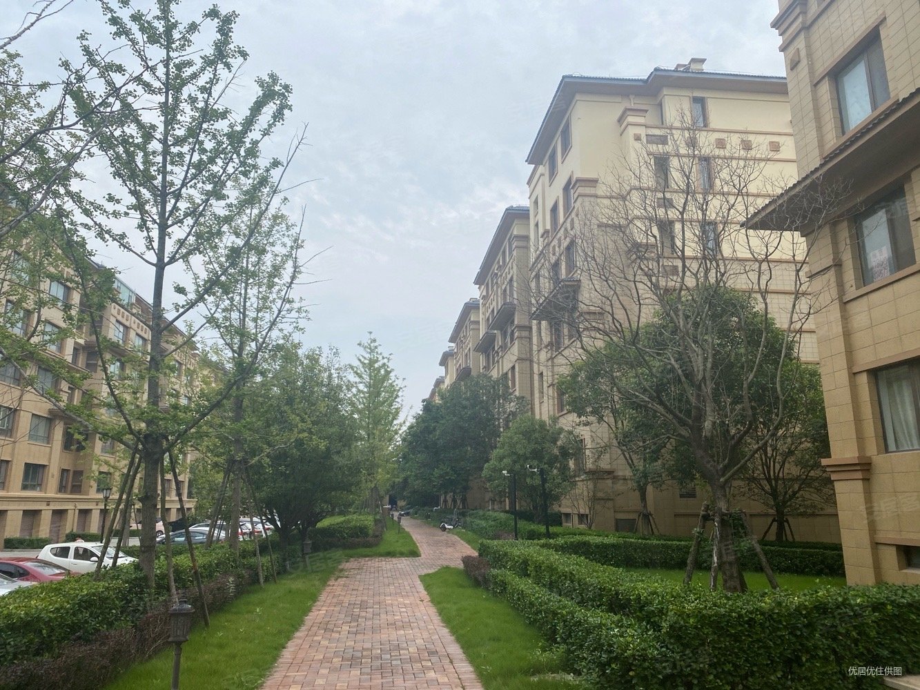 青岛房产网>青岛二手房>莱西二手房>望城二手房>梦想望城>