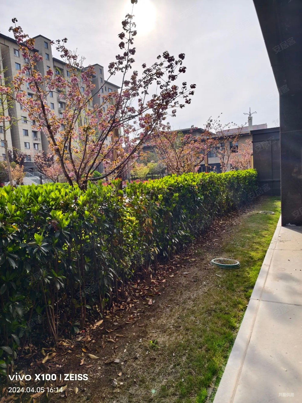 一楼带院子带双车位九州大学旁次新房洋房美的雍翠园