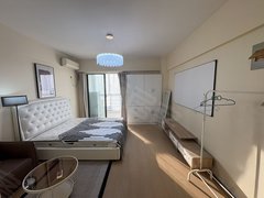 合肥蜀山黄潜望西环中心广场(北区) 精装修 电梯房 通风好出租房源真实图片