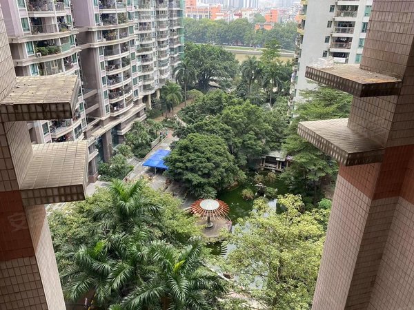 广州荔湾南岸荔港南湾荔港南湾小区少有东南向三房出租!