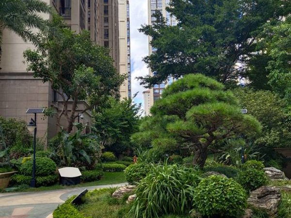 泉州洛江万安街道三盛四季公园(一期)三盛一期 高层安静  精装 拎包