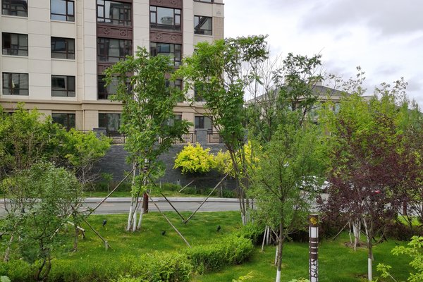 延边小区 延吉小区 发展区小区 万城院子